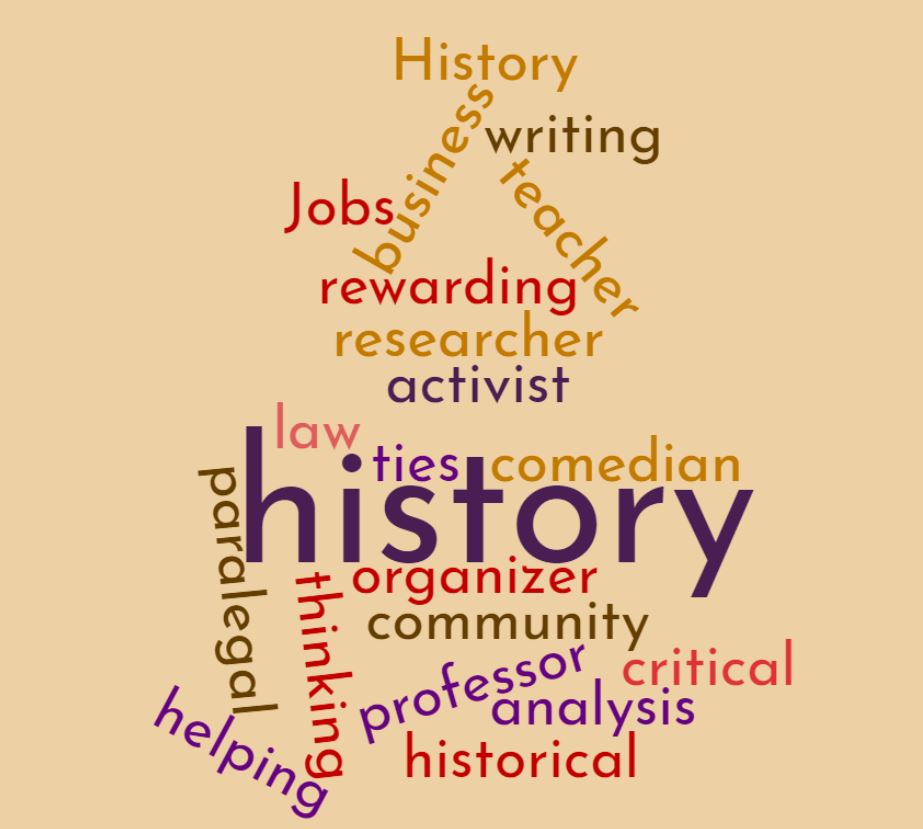 wordcloud of jobs for history majors