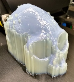 3d skull