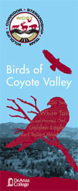 Birds of Coyote Valley Brochure